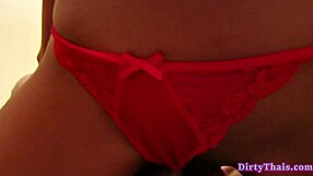 Thai girl Lily Koh gets fucked hard and deep POV