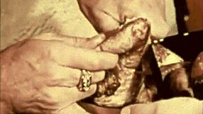 exploring a moorish harem chapter tonight 😊