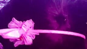 that leashed slut in the garage sucking cock deepthroat until he cums balls deep