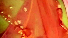 Sexy Shany BBW Pawg in Lingerie Teases With Big Ass