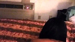 in the hotel, the ebony couple enjoys a quickie with slow stroking