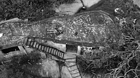 Hot street girl unleashes for the crowd