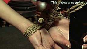 Punishment In Personal Training Part 2