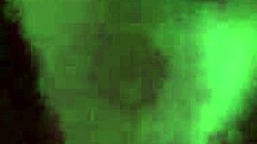 Bbw Amateur Bent Over in Intense Doggystyle Fucking