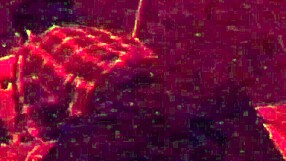 fucking with my straight married friend part one