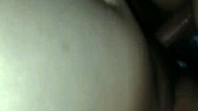 Mexicana cogelona gets fucked hard