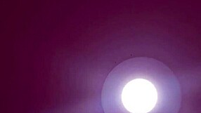 Sucking My Balls In Deepthroat Contrast