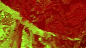 i met a fan in the bathroom after the show