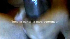 they react to my webcam show