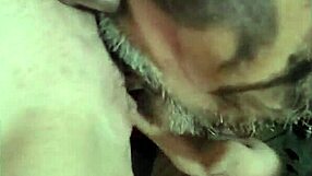 In this gay encounter, two men in lingerie indulge in oral pleasure with a massive cock, one acting as the slutty whore.