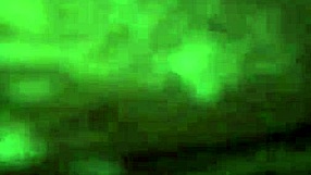 Amateur Point Of View With A Redhead