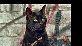 Good girl fucks with monster cock!