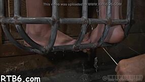 Stormy Caning for Lusty Babe with Intense Hardcore Sucking Action.