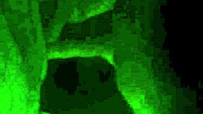 Mature chubby woman masturbates while fingering homemade blowjob