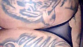 Kamilly Campos gets her panties ripped by a hungry client in rough shemale action. Her body takes every hard thrust.