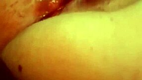 I Have A New Toy, Let's Play!