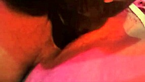 I Have A New Toy, Let's Play!