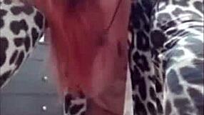 Brazilian porn latina hottie shakes her ass