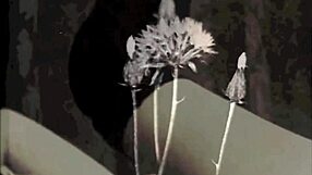 Exploring two centuries of vintage pornography history