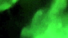 Friendly chat about sucking and blowjob with shemale crossdressing