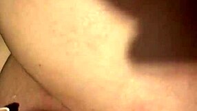 Cute Flower Teddy Bear Plush Toy for Kids and Collectors