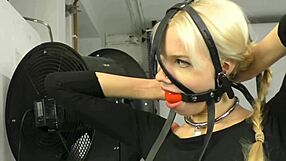 Bound in bondage, the submissive wears a ball gag harness, part 01 of the BDSM session.