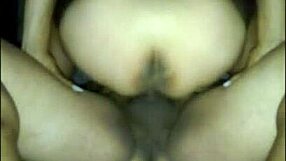 Lucia red stars in a couple scene with shemale elements