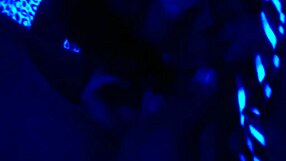 I trimmed the video on December 31, 2012, at 5:49 PM.