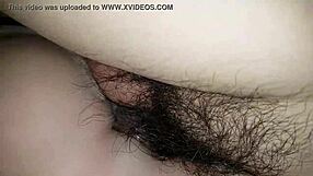 Lâm Tình Với Lồn Giả 2