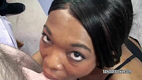 Black Housewife Kelly Stylz Devours Pov Cock Sucking With Intense Passion