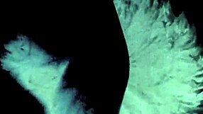 Two Centuries Of Vintage Pornography Presented