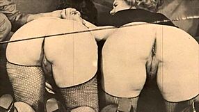 The selection is vintage lesbian bondage with bound and hairy participants
