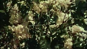 Hey, ever wonder what’s up with that retro dragonfly vibe in vintage hairy action?