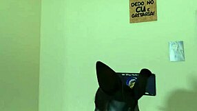 My girlfriend surprised me with a realistic doll for my birthday