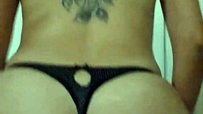 resumen de montadas de anniejarochita