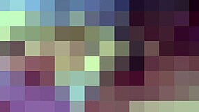 Worship My Perfect Size 6 Feet