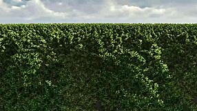 Wbp421 - the singer episode 4 with rough deepthroat blowjob!