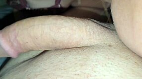 Amateur Blowjob Until Cumshot