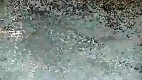 Latina amateurs perform sexy show with big ass effects