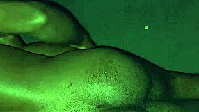 Niplexnija gets it just right