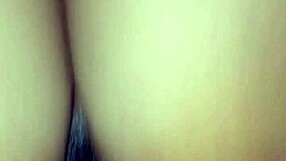 Niplexnija gets it just right