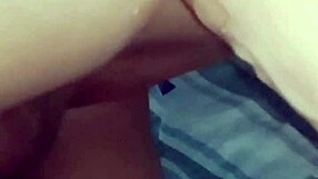 Big tits chubby sissy shemale with big ass