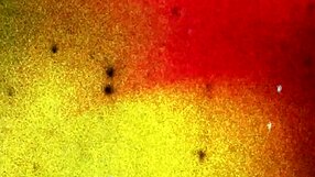 ब्लैक ट्रांस गर्ल टैटू और पियर्सिंग के साथ सोलो क्लाइमेक्स का मजा लेती है