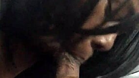 Unexpected Blowjob Adventure in O-Town Caught on Camera Tonight