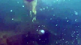 crazy diver filmed me swimming in the sea