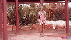 tgirls explore the great wide open with their cocks