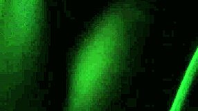 eva parvin stars in this intense hardcore scene