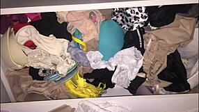 cdzinha lima returns to the house of coroa iza colleague of work