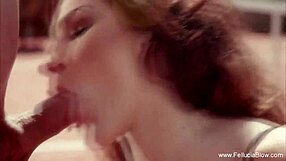 mature milf couple gives charity cfnm blowjob and handjob