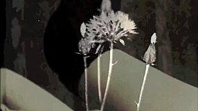 Vintage Dark Lantern London Interracial Taboo Scene